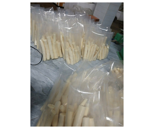 Raíz de Yuca Congelada Premium de Vietnam - Proveedor de Fábrica - Raíz de Yuca Congelada Pelada para Compradores Mayoristas de Alimentos Congelados - Product Image 1