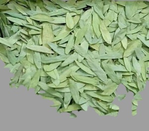 Feuilles de Séné Cassia Angustifolia Séchées, Feuilles de Thé Herbal Cassia Angustifolia, Infusion de Feuilles Coupées de Cassia Angustifolia - Product Image 1