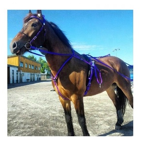 ARNÉS DE CARRERAS DE CABALLOS DE PVC ENGANCHE RÁPIDO MODELO HARDWARE DE LATÓN/ARNÉS DE CARRERAS DE CABALLOS PERSONALIZADO EN MATERIAL DE PVC - Product Image 1