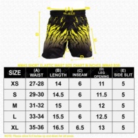 Pantalones Cortos de MMA Blaze Fight Wear de Doble Capa 2 en 1, Ligeros, de Secado Rápido, con Logotipos y Diseños Personalizados, Hechos en Pakistán