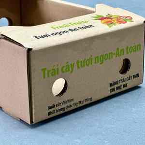 Caja de Cartón para Fruta Fresca de Alta Calidad para Uso Comercial, Materiales Reciclados Ecológicos, Fabricante Vietnamita de Cajas de Papel con Servicio OEM y ODM - Product Image 4