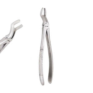 คีมถอนฟันกรามบนส่วนที่สาม รุ่นที่ 67 ทำจากสแตนเลสสตีล ใช้ซ้ำได้ ผลิตโดยผู้ผลิตเครื่องมือผ่าตัดทางทันตกรรมจากปากีสถาน - Product Image 1