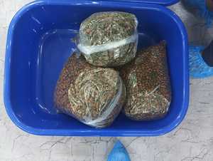 Alimento para Perros Sin Granos, Hipoalergénico, Nutrición Completa y Equilibrada para Cachorros y Perros Adultos, Calidad de Exportación, OEM ODM Disponible - Product Image 6