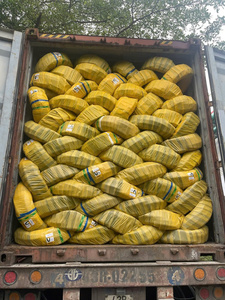 ยางในจักรยานคุณภาพสูง ยี่ห้อ KUMA ผลิตในเวียดนาม ทำจากยางธรรมชาติ เหมาะสำหรับจักรยานแข่งและจักรยานเดินทาง ขนาด 26x1x3-8 รับประกัน 12 เดือน ขายดี - Product Image 4