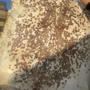 Piel de caballo natural para tambor, hecha a mano, de cuero crudo, para tambor de marco y reparaciones, tambor shamanico, fagot, piel de cabra peluda - Product Image 4