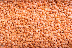 Bulk Wholesale Organic High-quality Red Lentils Rich Protein Fiber Natural Healthy Export Supply Global Markets Austria - Product Image 6