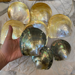 Pearl Of Mother Shell Natural Vietnam Material For Jewelry Inlay Decorative Crafts Furniture Veneer Plate Wholesale Supply - Product Image 1