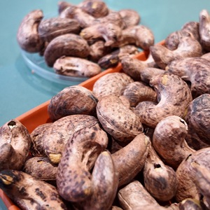 Nueces de Anacardo Vietnamitas al por Mayor W450, Tostadas con Sal, Alta Calidad y Sabor Natural, en Empaque al Vacío, con Servicio OEM/ODM Disponible - Product Image 5