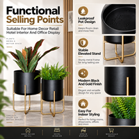Lot de deux jardinières décoratives modernes en métal avec support doré, pots noirs étanches pour intérieur, maison, hôtel, bureau