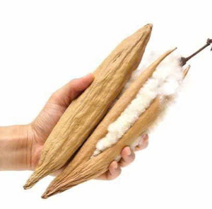 Kapok 100% Natural Puro para Hilado, Ecológico y Sostenible de Green Future Kapok - Product Image 6