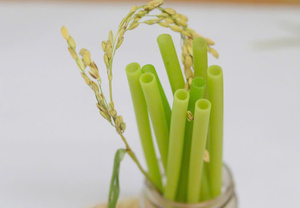 Eco Friendly Rice <b>Straws</b> Sustainable <b>Drinking</b> <b>Straws</b> <b>for</b> Restaurants Cafes Beverage Brands and Green Packaging Supply - Product Image 6