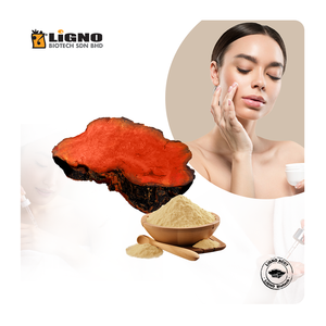 Extracto de Agua de Antrodia Camphorata - Activo Cosmético Purificador de la Piel y Antioxidante - Para Sueros y Tónicos - Product Image 1