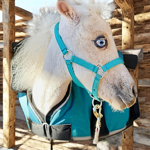 Licol en cuir réglable de qualité supérieure pour cheval - Double couche durable avec quincaillerie robuste, style selle anglaise - Product Image 1