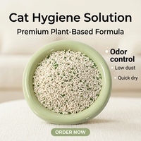 Litière pour chat en tofu biodégradable, faible teneur en poussière, agglomération rapide, 2,4 kg, vente en gros, commerce de détail, distributeurs, importateurs, commande en gros