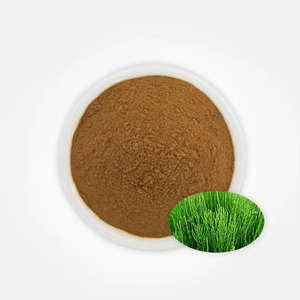 Polvo de Hoja de Caballo 100% Puro, Polvo de Equisetum Arvense Rico en Sílice para Apoyar el Crecimiento del Cabello, la Salud de la Piel y la Fuerza de las Uñas - Product Image 3