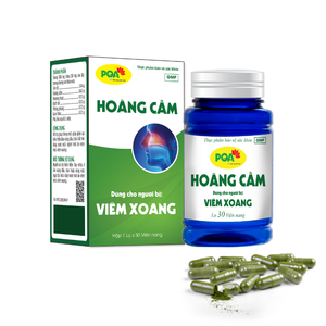 Capsules de Scutellaria Baicalensis en gélatine dure de qualité supérieure pour adolescents : Soulagement de l'asthme, des maux de tête et soutien immunitaire - Product Image 5