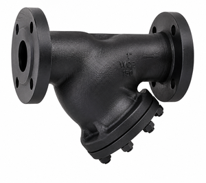 Filtre à eau en acier moulé WCB de 1 pouce, type Y, à extrémité à bride avec tamis perforé en acier inoxydable - Product Image 1