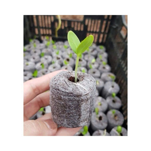 All Natural Coir Jiffy Pellets For Seed Starting Plugs High Expansion Coconut Fiber <b>Peat</b> Discs For Rooting Grow - Product Image 3