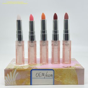 Juego de Lápices Labiales Veganos Minerales Hidratantes e Impermeables de Moda Popular para Mujer, Compuesto por Cinco Artículos - Product Image 2