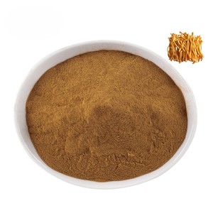 Extrait de Cordyceps Militaris séché naturellement 10:1 en poudre, 100% Cordyceps Militaris en poudre naturelle pour soutenir l'énergie et l'endurance - Product Image 3