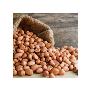 Fournisseur en gros de cacahuètes décortiquées, export, qualité supérieure - Product Image 4