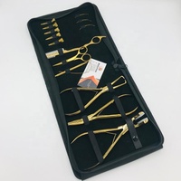 Pince professionnelle pour Extension de cheveux en acier inoxydable plaqué or, Kit d'outils avec ruban adhésif, pince à pression avec coussinets en silicone