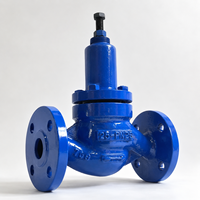 Válvula de Alivio de Accionamiento Automático de Paso Directo OEM al por Mayor, Conexión Bridada DN25, Control de Presión Hidráulica para Agua Industrial