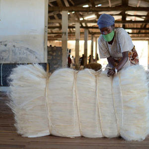 Sisal Fiber Anti-Bacteria Radiation-Resistant <b>Bleached</b> Pattern Fiber (All Sizes) for Non-Woven Fabric Concrete Sisal Fiber - Product Image 4