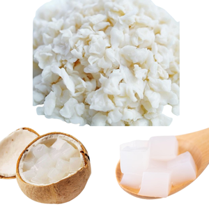 Natural Unsweetened Coconut <b>Jelly</b> Raw Nata De Coco Fruit <b>Jelly</b> Nutritious Bulk Stick Fruity Dessert <b>Pudding</b> for Beverage - Product Image 4