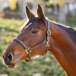 Harnais pour cheval en cuir souple, de qualité supérieure, réglable, confortable, fait main, noir, marron, double couture - Product Image 6