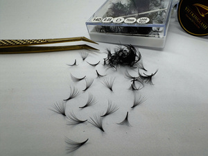 ขนตาปลอมแบบพัดสำเร็จรูป 14D รุ่น D Curl ขนาด 0.05 11 มม. ขนมิ้งค์ สำหรับต่อขนตาแบบเส้นต่อเส้น ขายส่ง รับผลิตแบรนด์ส่วนตัว (OEM) - Product Image 4