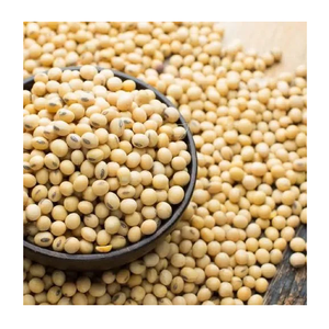 Vente en gros de soja biologique non-OGM, soja jaune, graines de soja - Product Image 6