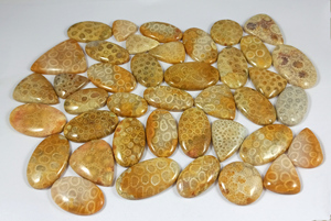 Natural Fossil Coral Loose Gemstone 20-35mm Yellow Mix Shapes for Jewelry Designing Wholesale Price - Product Image 3