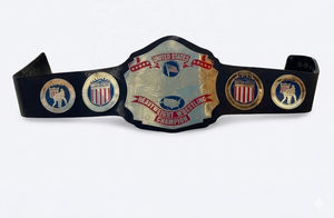 Ceinture de championnat de lutte poids lourd des États-Unis NWA, taille adulte, réplique - Product Image 3