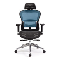Chaise de bureau exécutive ergonomique moderne en maille avec cadre en plastique, appui-tête 3D réglable, mécanisme synchrone à répartition automatique du poids et pivotante