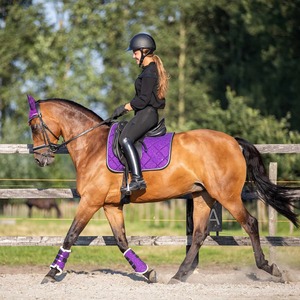 Wholesale Custom Durable All-Purpose Horse English Cotton Saddle Pad with Matching Bell <b>Boot</b> Tendon <b>Boot</b> & Fly Veils Set - Product Image 3