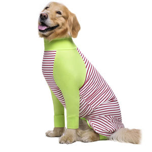 Sweat-shirts à manches longues pour chiens, coupe ajustée, fabriqués professionnellement, col rond, avec manches raglan et motif rayé, collection 2026 - Product Image 5