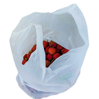 Bolsas de Plástico con Cierre Zip de Alta Calidad, Biodegradables y Reciclables, HDPE LDPE LLDPE, Impresión por Grabado, Tamaño y Color Personalizables, para Papas Fritas
