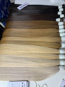 Extensions de Cheveux Humains 100% Naturels Non Traités, Qualité Supérieure, Super Double Drawn, Kératine Vietnamienne, Vrac, Meilleur Choix - Product Image 2