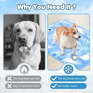 Nuovo Tappetino Refrigerante Portatile in Gel 2026 per Cani e Gatti, Tappetino Sostenibile per Animali Domestici per Viaggi Estivi, Lavabile e con Raffreddamento Indiretto - Product Image 4