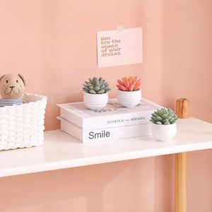 Mini Macetas con Suculentas Artificiales, Plantas Falsas en Cerámica, Arreglo Decorativo para Hogar u Oficina, Regalo para Mujeres - Product Image 5