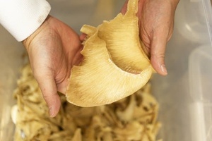 Aletas de tiburón secas de calidad superior, ingredientes gourmet asiáticos tradicionales - Product Image 6