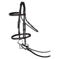 Bridon d'endurance en cuir durable conçu pour les cavaliers professionnels, offrant un confort longue durée et un contrôle supérieur du cheval