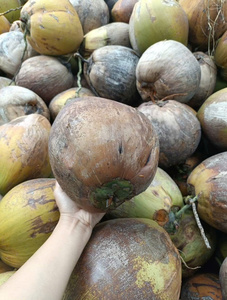 Huile de Coco Vierge du Delta du Vietnam, Huile de Cuisson Brute de Qualité Supérieure en Vrac 1000L, Provenant de Ho Chi Minh City, Vietnam - Product Image 4
