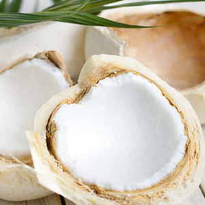 มะพร้าวน้ำหอมสดพรีเมียม / มีน้ำเยอะ / รสหวานธรรมชาติ / พร้อมส่งออก / คุณอลีนา - Product Image 2