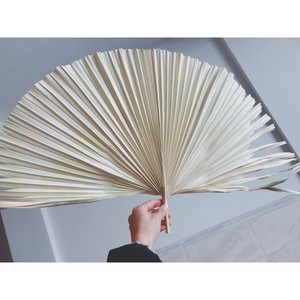Abanico de Mano de Venta Rápida, Ideal para Decoración de Bodas y Eventos, Diseño Ligero - Product Image 2