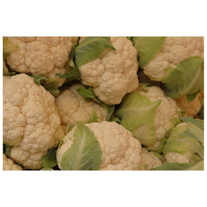 export <b>fresh</b> <b>vegetable</b> cultivated <b>fresh</b> cauliflower for sale - Product Image 1