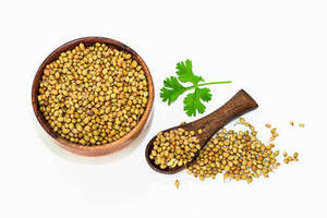 Coriandre fraîche de la nouvelle saison, graines entières, origine indienne, qualité export sélectionnée - Product Image 2