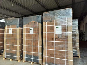 Bloque de Turba Ecológico Premium de 5 kg, 100% Orgánico, Bajo EC, pH Equilibrado, Alta Retención de Agua, Biodegradable, para Jardinería y Plantación - Product Image 3