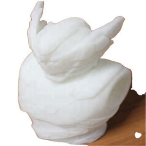 Mejor Precio en Impresión 3D, Prototipo Rápido, Modelo de Esqueleto, Parte del Cuerpo, Servicio de Impresión 3D SLA, SLS, SLM - Product Image 5